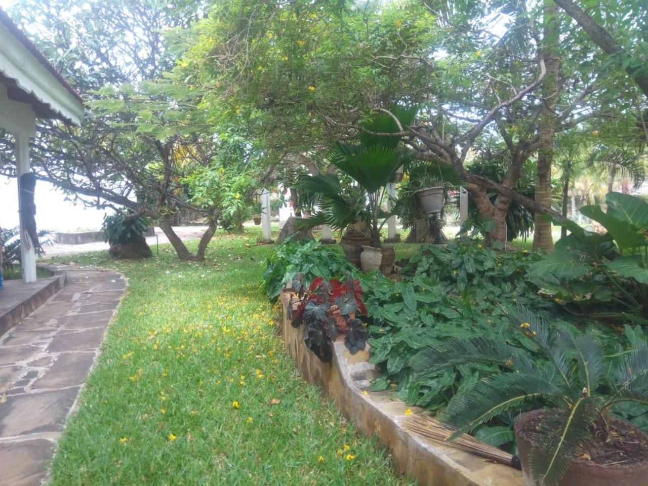 Pashmina House Bed and Breakfast Watamu Eksteriør billede