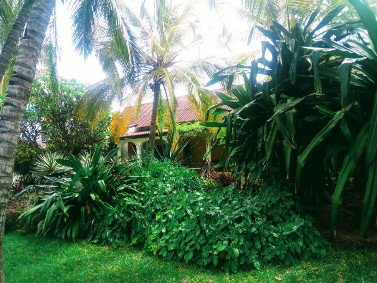 Pashmina House Bed and Breakfast Watamu Eksteriør billede